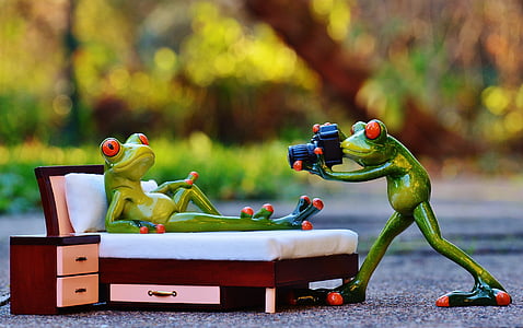 photographer-frog-photo-shoot-funny-thumb.jpg