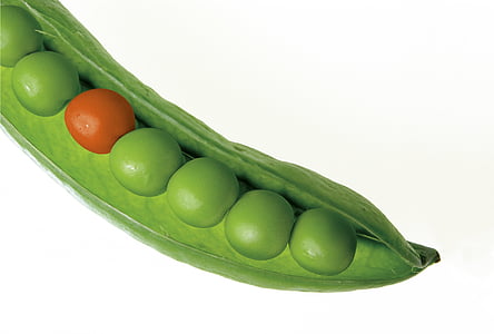 peas-pod-pea-pod-green-thumb.jpg