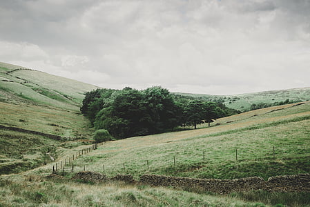 pasture-field-rural-landscape-thumb.jpg