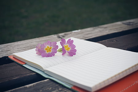 bench-flower-notebook-pen-thumb.jpg