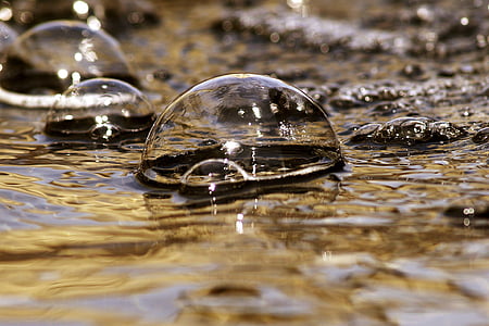 bubbles-bubble-water-macro-thumb.jpg