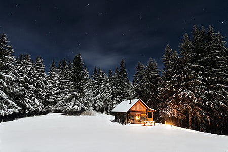 cabin-pine-trees-starry-night-cottage-thumb.jpg