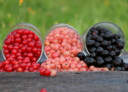 currant-grade-glass-red-thumb.jpg
