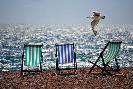 deckchairs-sea-beach-seaside-thumb.jpg