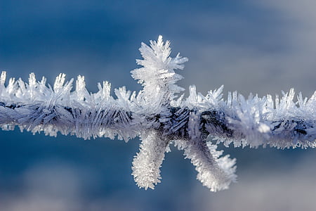 eiskristalle-frost-frozen-cold-thumb.jpg