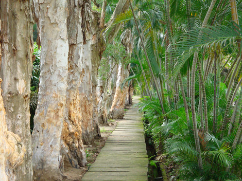 1658739683235054213.jpg 台51_副本.jpg