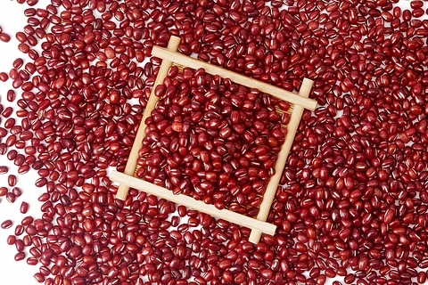 红豆.webp.jpg