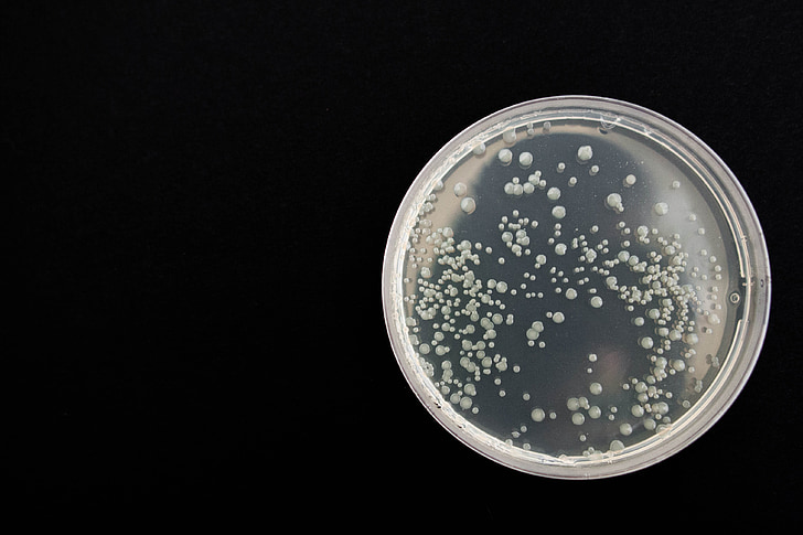 科学家开发出能杀死数种超级细菌的新抗生素分子