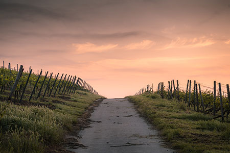 1-1F1011IR40-L.jpg