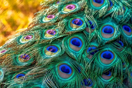 1661305175008027052.jpg 1-1Q11H23H9410.jpg