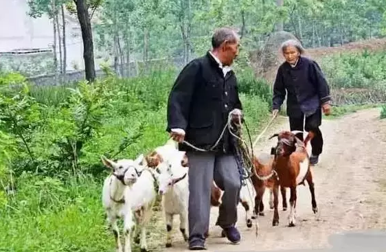 一生中最后的存折是老伴,感动ing