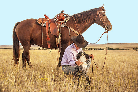 cowboy-horse-dog-pasture-thumb.jpg