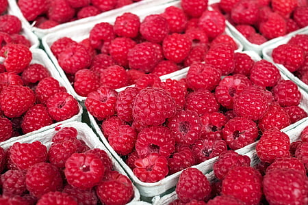 raspberry-berry-fruit-fruits-thumb.jpg