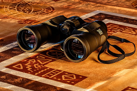 binoculars-birdwatching-spy-glass-spying-thumb.jpg