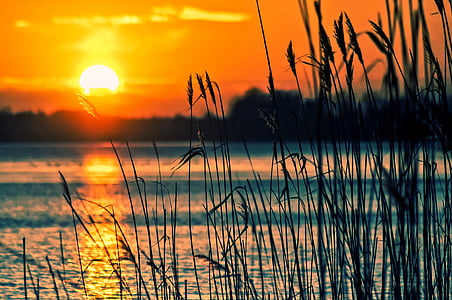 lake-reeds-sunset-landscape-thumb.jpg