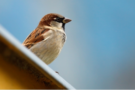 1662082041999055077.jpg 1-1F504154I2395 (1).jpg