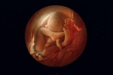 如何不露声色地给医生下“套”问出胎儿性别？这些方法一试一个准