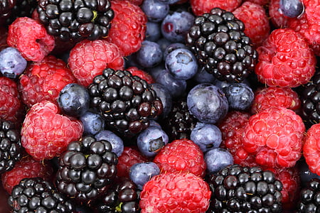 background-berries-berry-blackberries-thumb.jpg
