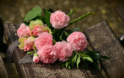 bouquet-cloves-roses-romantic-thumb.jpg