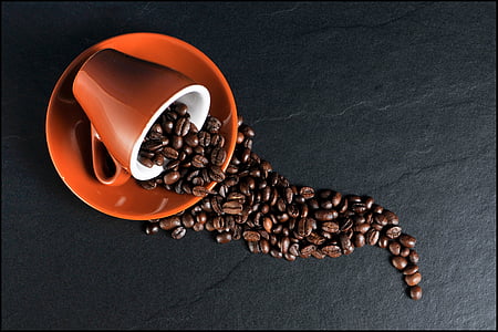 coffee-cup-coffee-beans-coffee-cup-thumb.jpg