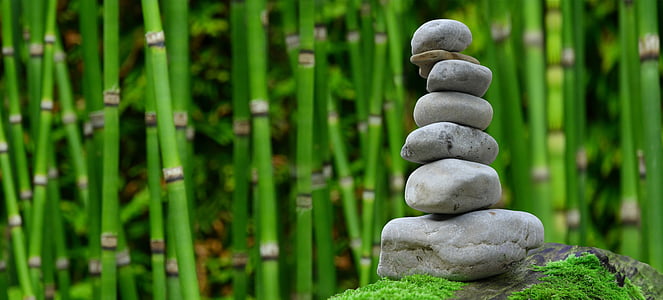 zen-garden-meditation-monk-thumb.jpg