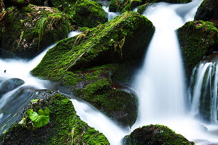 creek-falls-flow-flowing-thumb.jpg